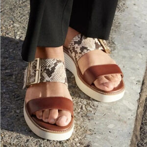 Cole Haan Leather Snake Embossed Slide Sandals Buckle Comfort Women 7.5 NWT